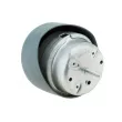 Support moteur TEKNÖR ZPS-AU-036 - Visuel 2
