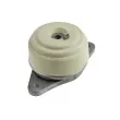 Support moteur TEKNÖR ZPS-ME-012 - Visuel 1