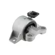 Support moteur TEKNÖR ZPS-PL-072 - Visuel 1
