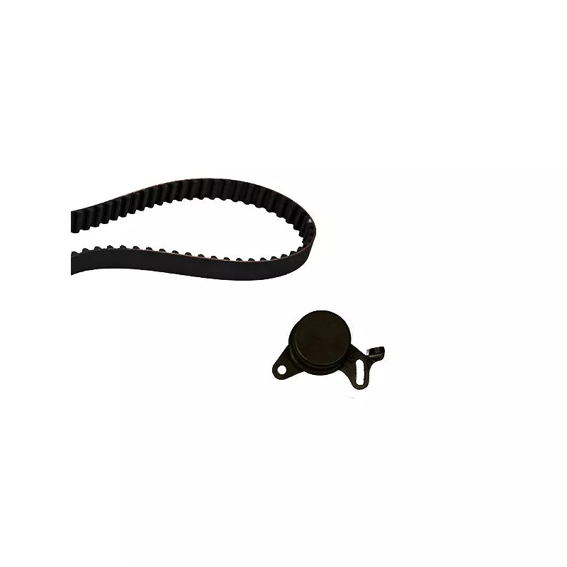 Kit de distribution HEPU 20-1008