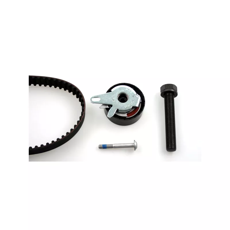 Kit de distribution HEPU 20-1075