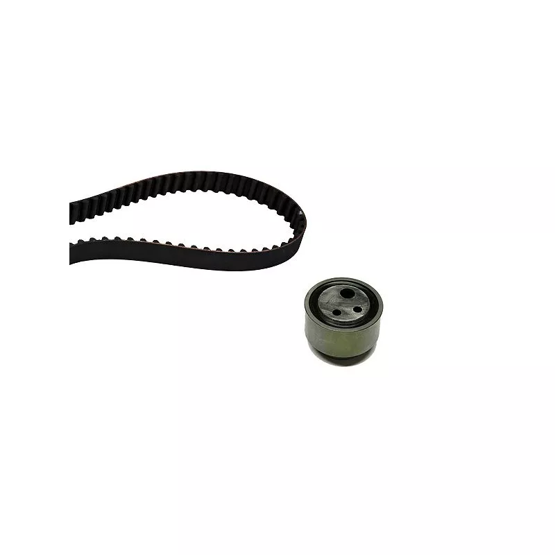 Kit de distribution HEPU 20-1099