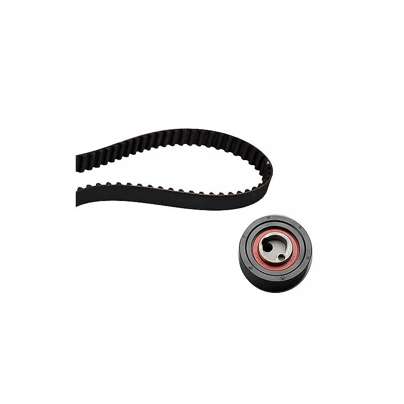 Kit de distribution HEPU 20-1163