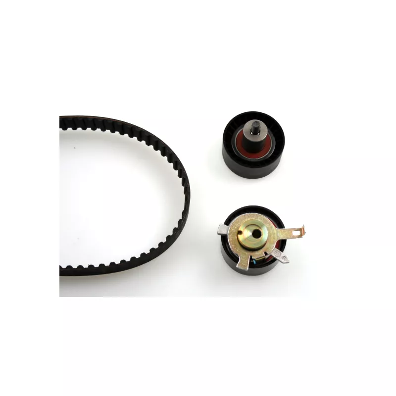 Kit de distribution HEPU 20-1166