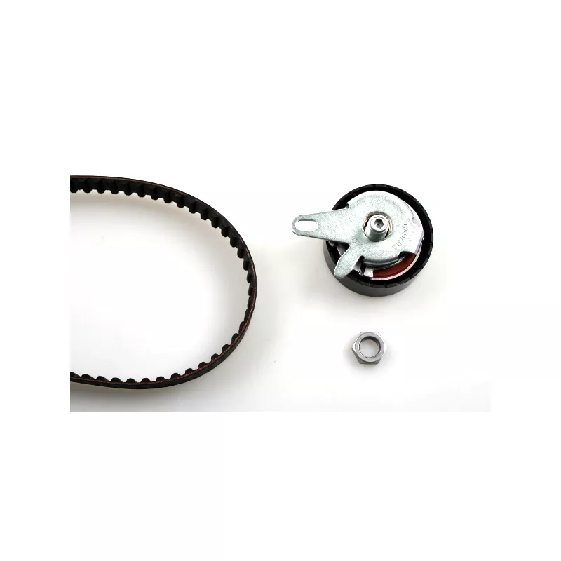 Kit de distribution HEPU 20-1176