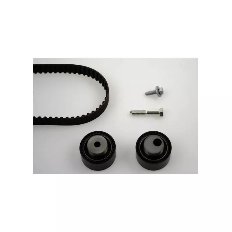 Kit de distribution HEPU 20-1195