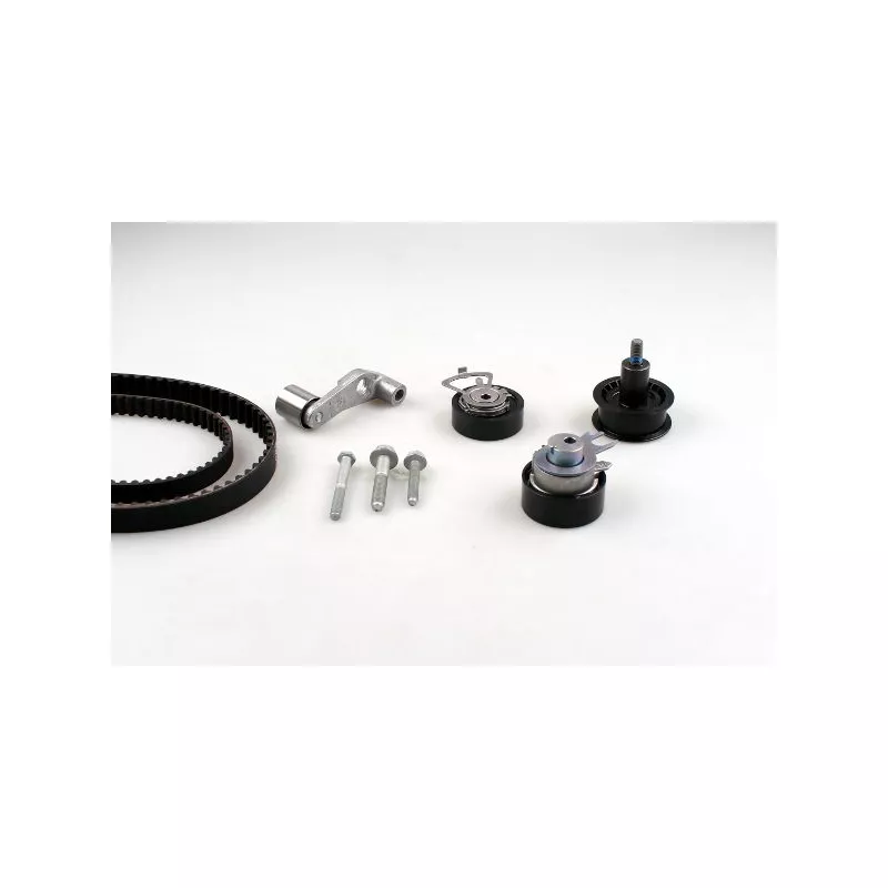 Kit de distribution HEPU 20-1258