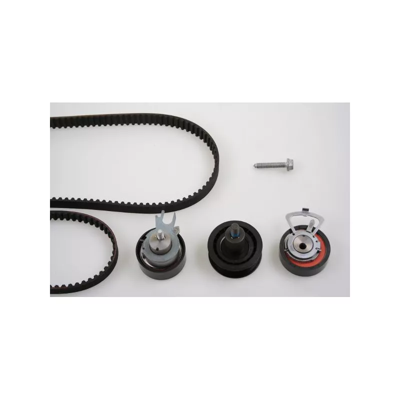 Kit de distribution HEPU 20-1258S