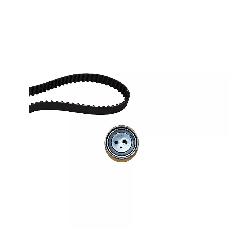 Kit de distribution HEPU 20-1280