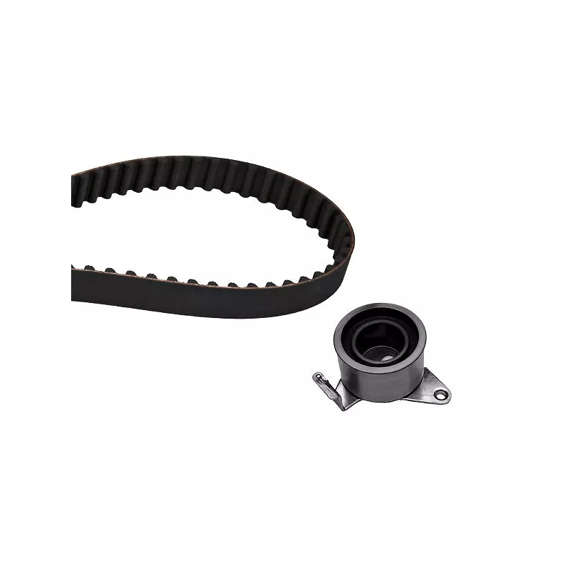 Kit de distribution HEPU 20-1294