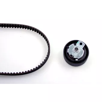 Kit de distribution HEPU 20-1319