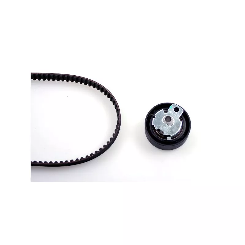 Kit de distribution HEPU 20-1319
