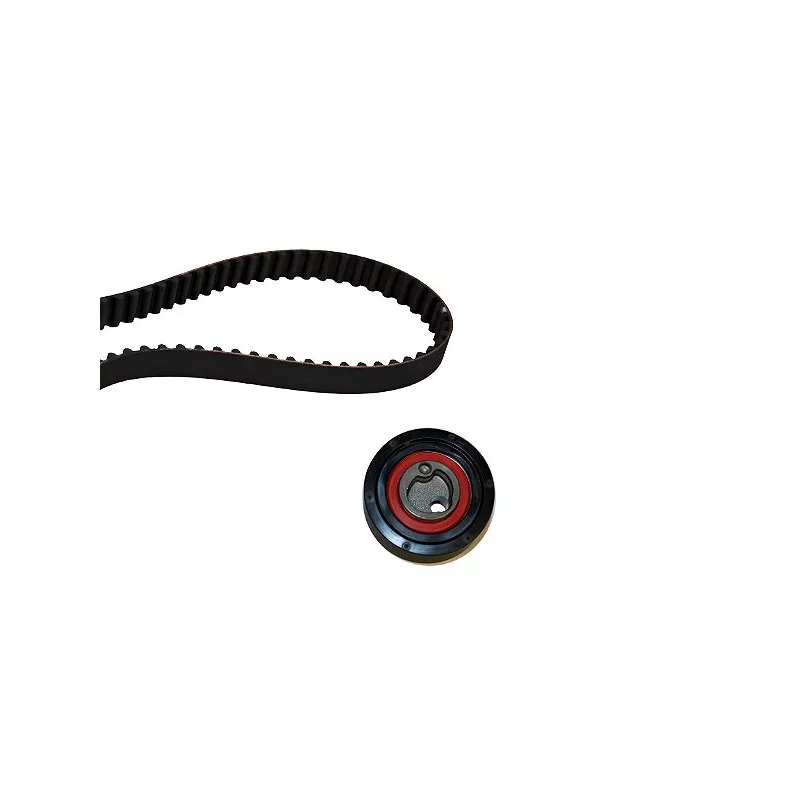 Kit de distribution HEPU 20-1324