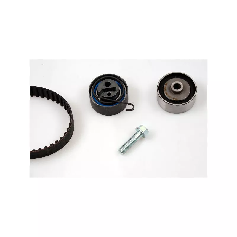 Kit de distribution HEPU 20-1332