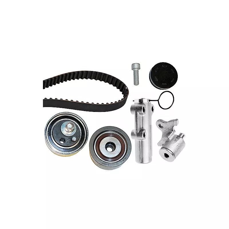 Kit de distribution HEPU 20-1352