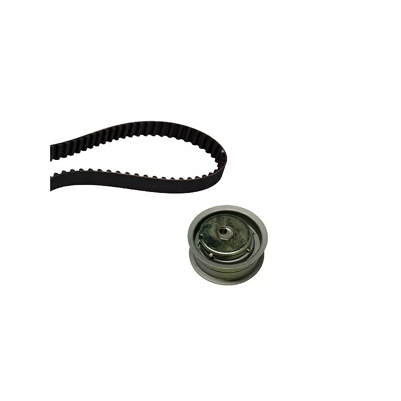 Kit de distribution HEPU 20-1368