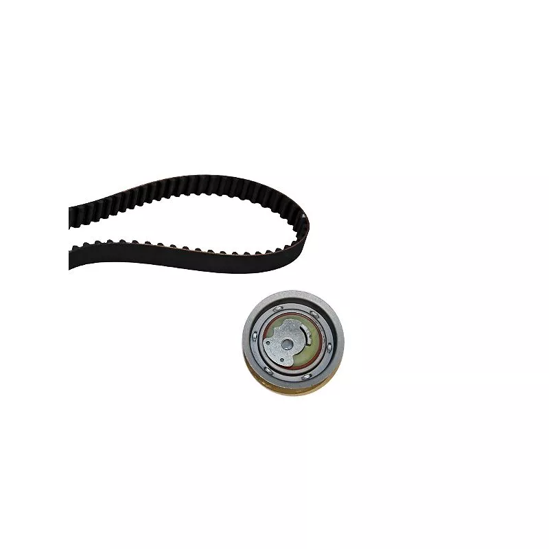 Kit de distribution HEPU 20-1369