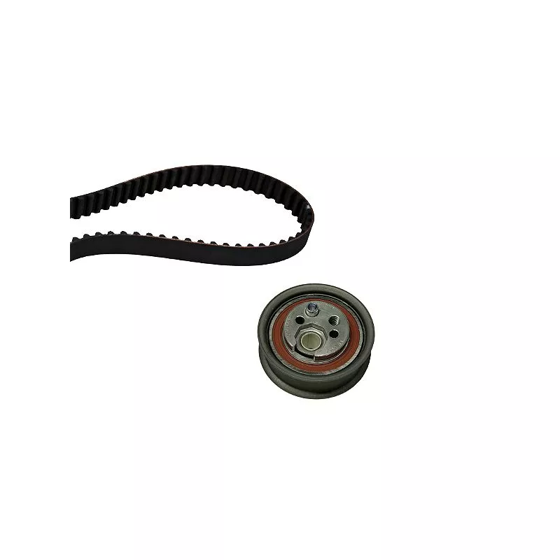 Kit de distribution HEPU 20-1393