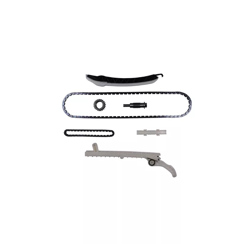 Kit de distribution par chaîne HEPU 21-0579