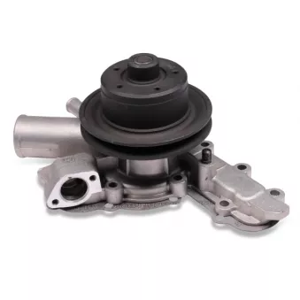 Pompe à eau HEPU P020