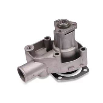 Pompe à eau HEPU P028