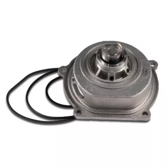 Pompe à eau HEPU P049