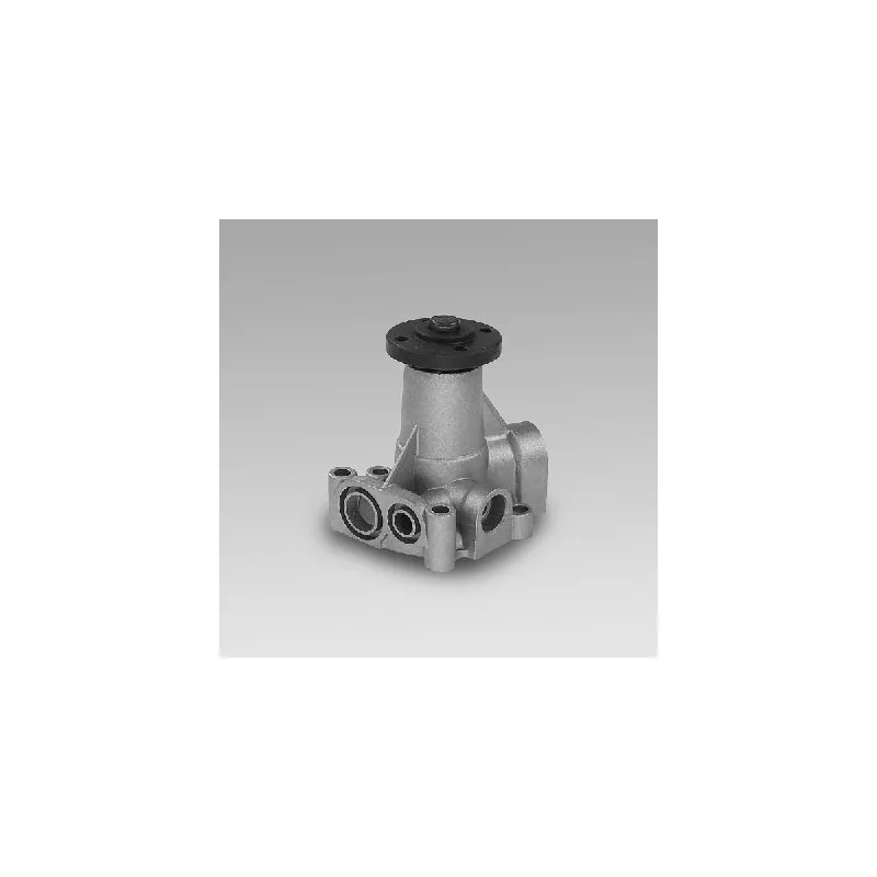 Pompe à eau HEPU P055