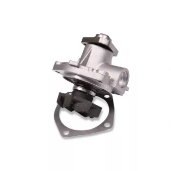Pompe à eau HEPU P065S