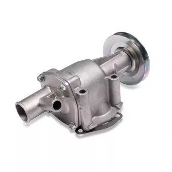 Pompe à eau HEPU P070