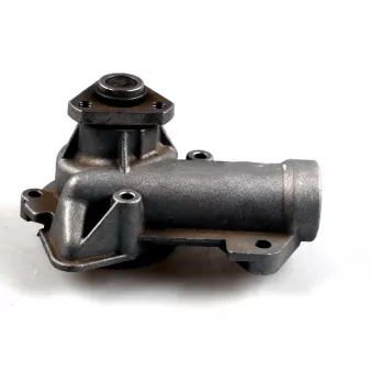 Pompe à eau HEPU P090