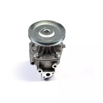 Pompe à eau HEPU P095