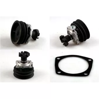 Pompe à eau HEPU P100