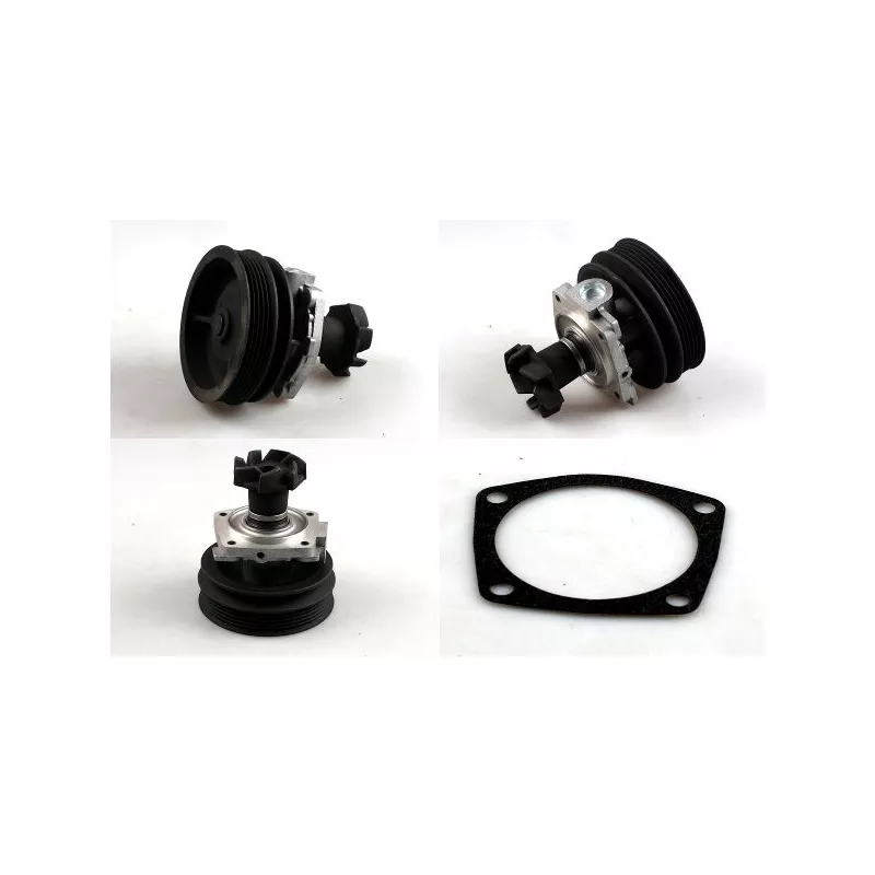 Pompe à eau HEPU P100