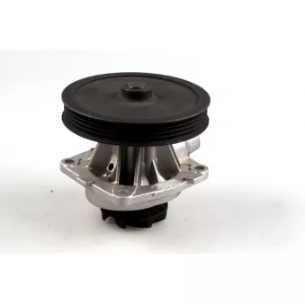 Pompe à eau HEPU P1011
