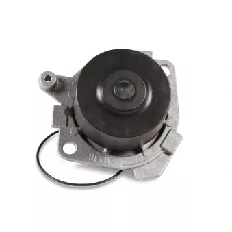 Pompe à eau HEPU P1012