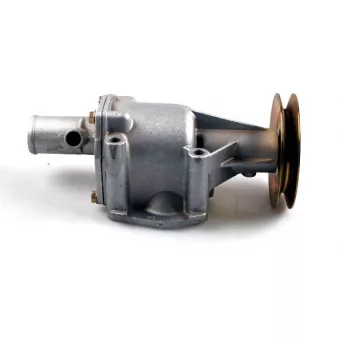 Pompe à eau HEPU P1031