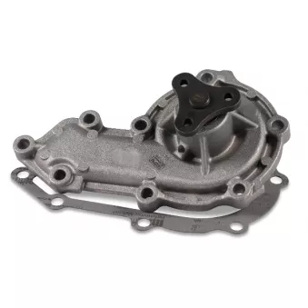 Pompe à eau HEPU P1032