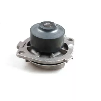 Pompe à eau HEPU P1035