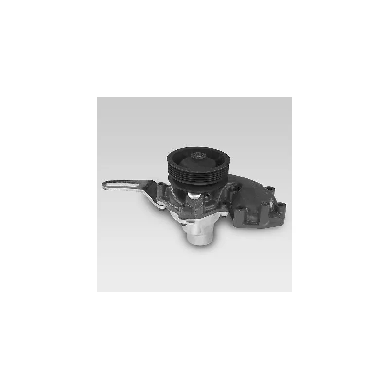 Pompe à eau HEPU P104