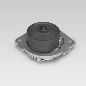 Pompe à eau HEPU P1041