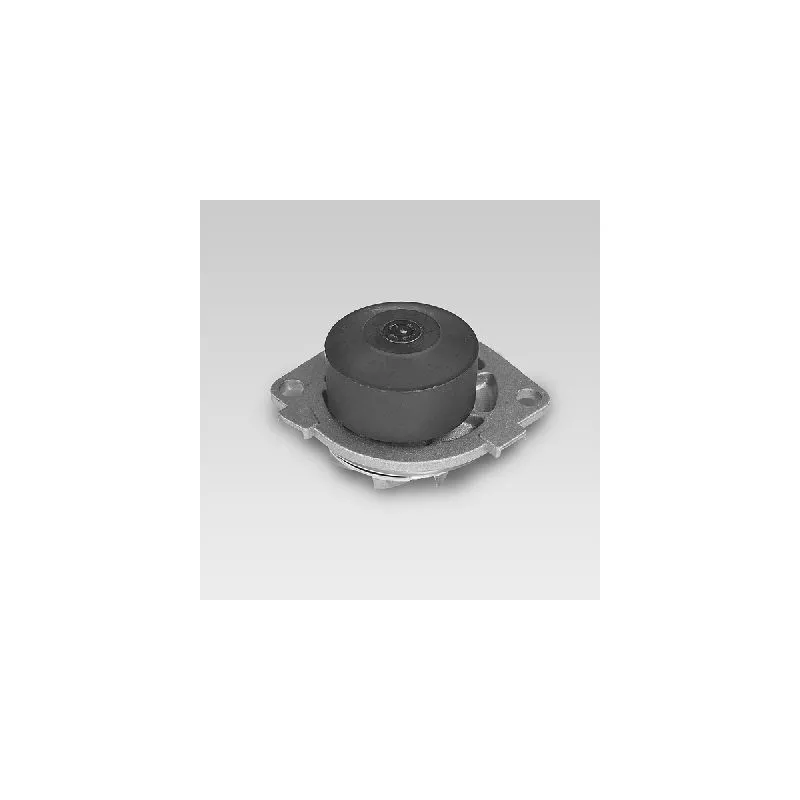 Pompe à eau HEPU P1041