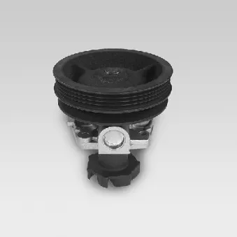Pompe à eau HEPU P1047
