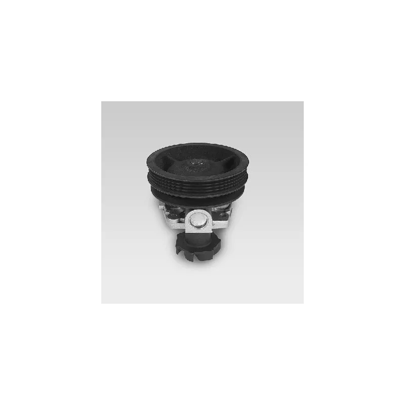 Pompe à eau HEPU P1047