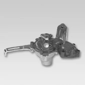 Pompe à eau HEPU P1048