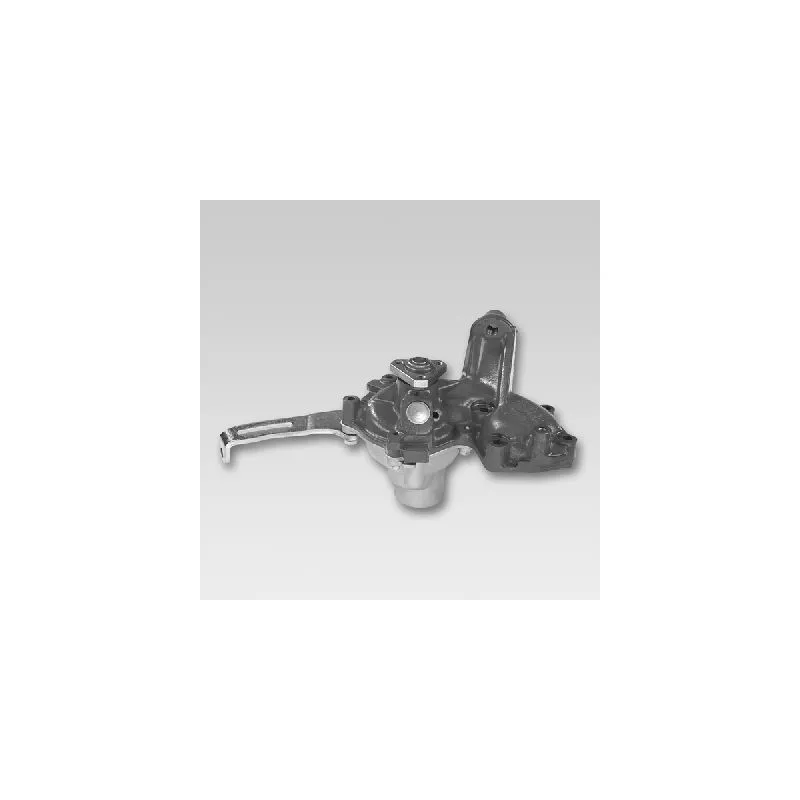 Pompe à eau HEPU P1048