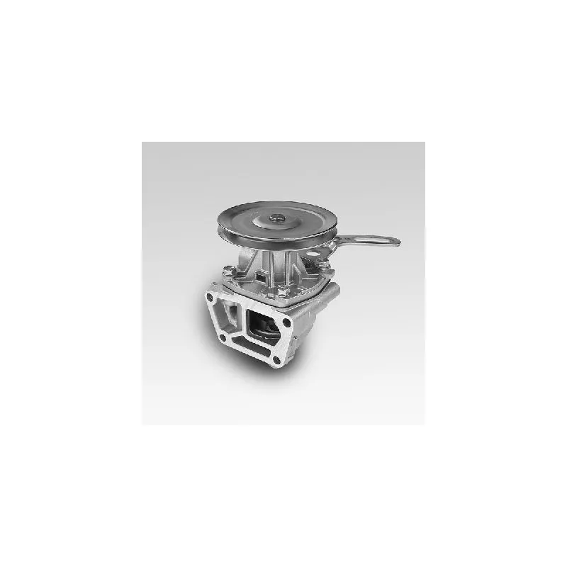 Pompe à eau HEPU P105