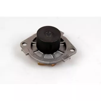 Pompe à eau HEPU P1053