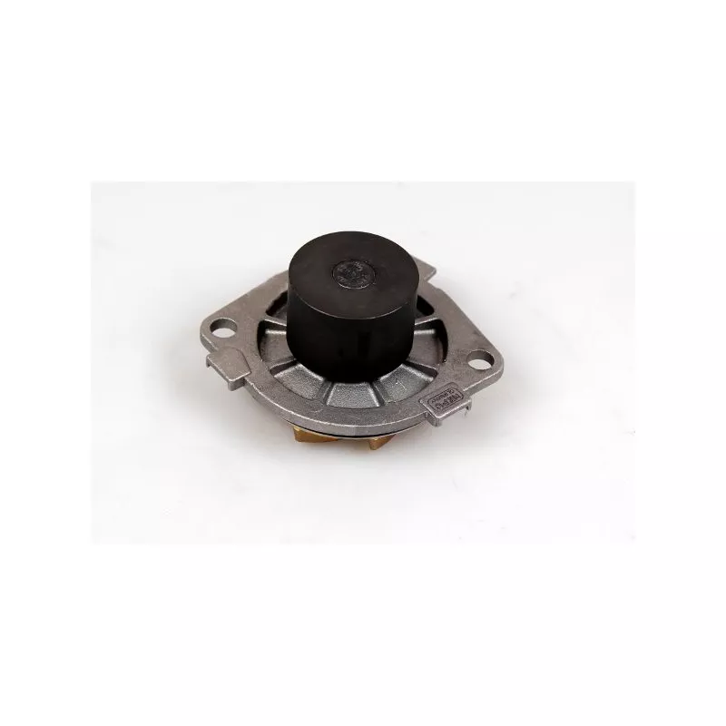 Pompe à eau HEPU P1053