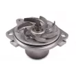 Pompe à eau HEPU P1055 - Visuel 2