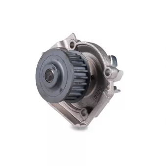 Pompe à eau HEPU P1058